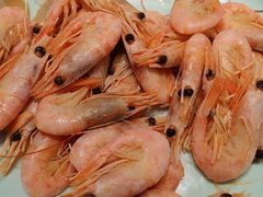 -九寸花汀(摩天活力城店)