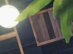 -时光码头民谣公社