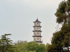 -江心屿景区