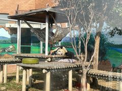 -苏州太湖国家湿地公园