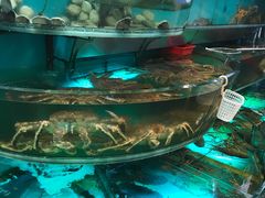 -海港酒家(始创中心店)