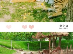 -北京野生动物园