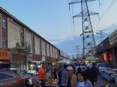 -中环花鸟鱼虫市场