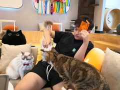 -啵啵喵·猫咖(攀华国际店)
