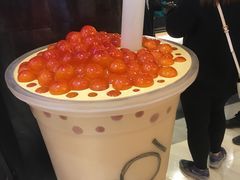 -KOI Thé(正佳广场店)