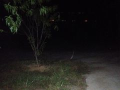 -枫露马术学院(藏书校区)