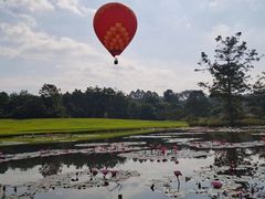 -中国科学院西双版纳热带植物园