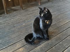 -MOKKA莫卡咖啡(大名路店)