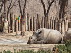 -北京野生动物园