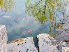-趵突泉景区