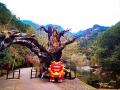 -龙湾潭国家森林公园