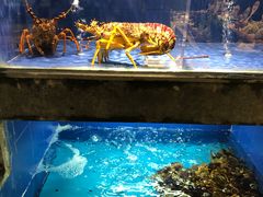 -徐记海鲜(陕西历史博物馆|明德门店)