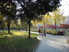 -成都南湖公园