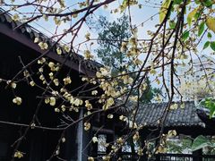 -阳明祠