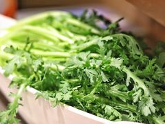 茼蒿-海底捞火锅(海宁路店)