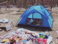 -长白岛森林公园