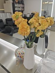 -HaLo hair studio