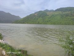 -后柳水乡