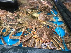 -盒马鲜生(皇庭广场店)