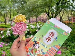 -洛阳市隋唐城遗址植物园