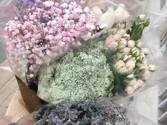 -宝鸡东道花鸟鱼虫市场(吉利花园商场店)