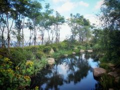 -上海长兴岛郊野公园