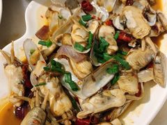 蛏子-华盛丰温州大排档(东三环南路店)