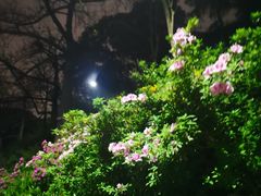 -广州市白云山风景名胜区