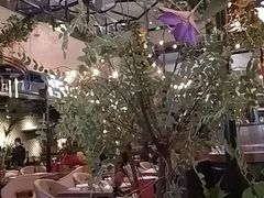 -查特花园美食广场(西单大悦城店)