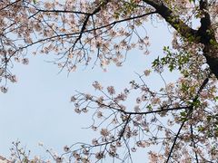 -南浦大桥长途旅游客运站