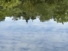 -白鹭湾湿地公园