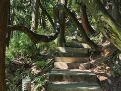 -武陵山森林公园