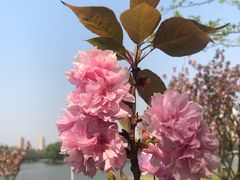 -白塘生态植物园
