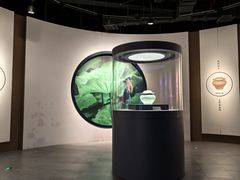 -四川宋瓷博物馆