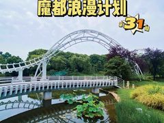 -上海共青森林公园