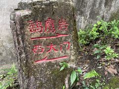 -大金鹰园