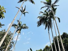 -中国科学院西双版纳热带植物园