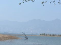 -野鸭湖国家湿地公园