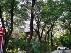 -北京大学燕东园