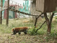 -泉州海丝野生动物世界