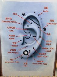 -AI艾耳·专业手工耳洞·穿孔美学馆