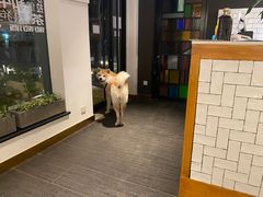 -BOCATA 西班牙餐厅(三里屯店)