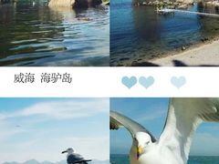 -海驴岛(荣成市)