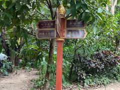 -曼听御花园