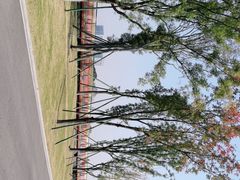 -府河摄影公园
