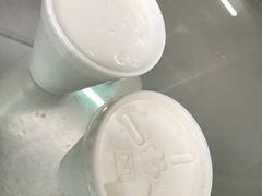 -洪馨椰子