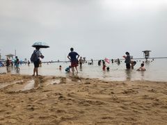 -碧海金沙