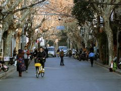 -Osteria Garden 生蚝花园餐厅(原进贤路店)
