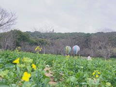 -苏州上方山国家森林公园