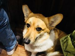 -阿木舂记·特色小吃(平江路店)